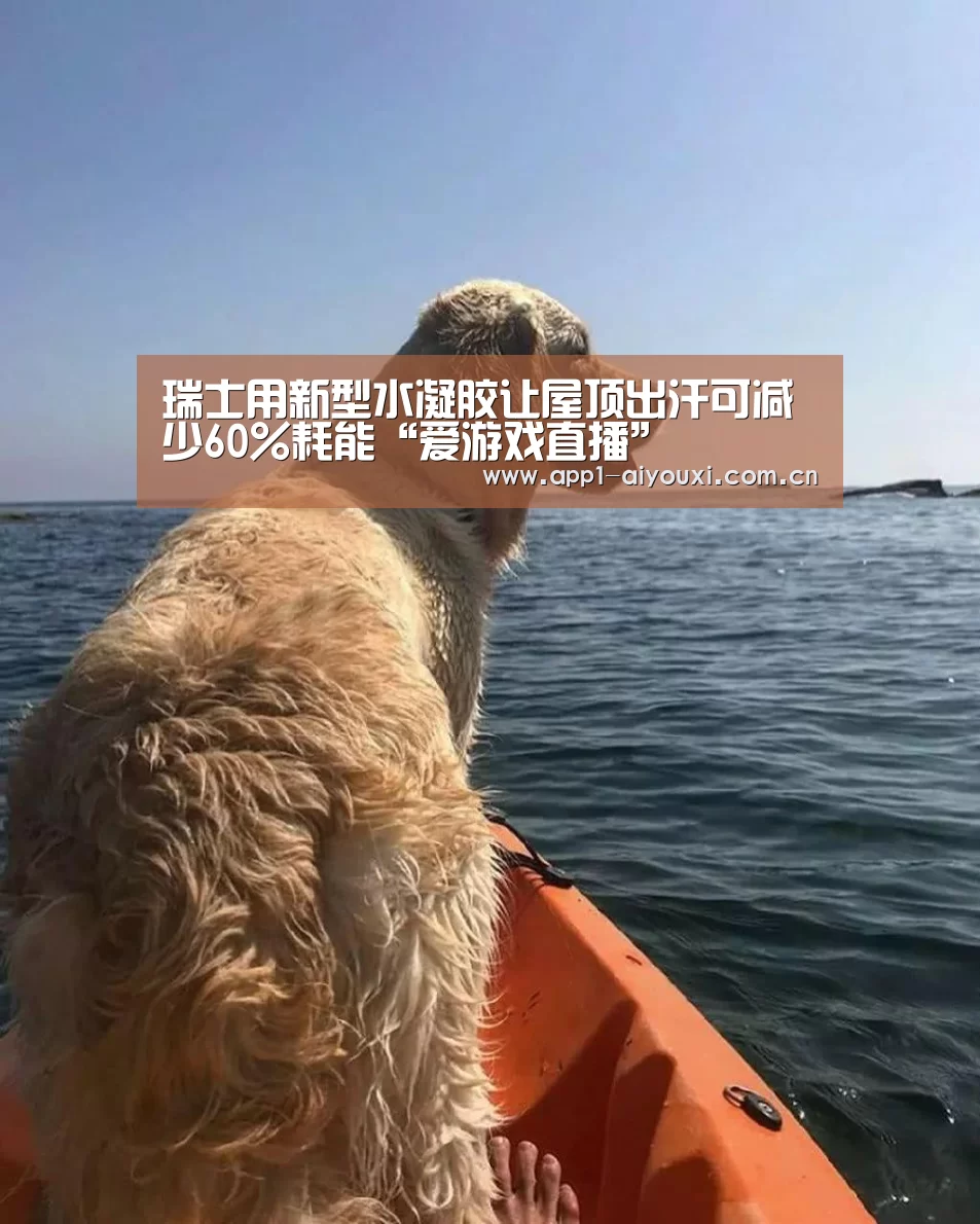 爱游戏直播