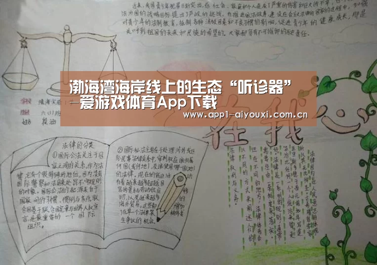 爱游戏体育