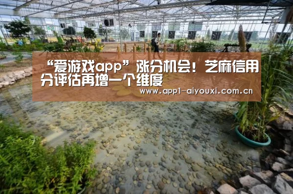 爱游戏直播