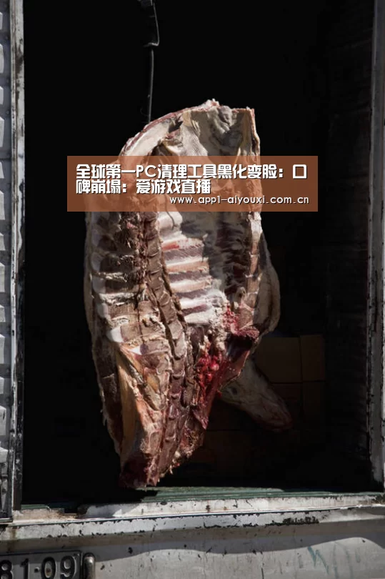 爱游戏体育