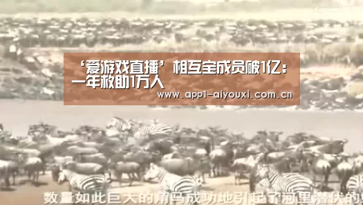 ‘爱游戏直播’相互宝成员破1亿:一年救助1万人(图1) 爱游戏体育App下载