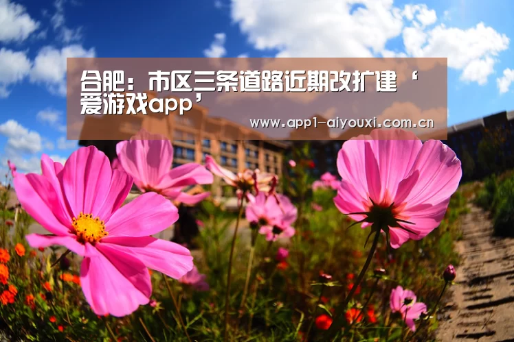 爱游戏app