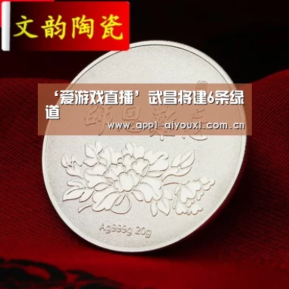 爱游戏直播