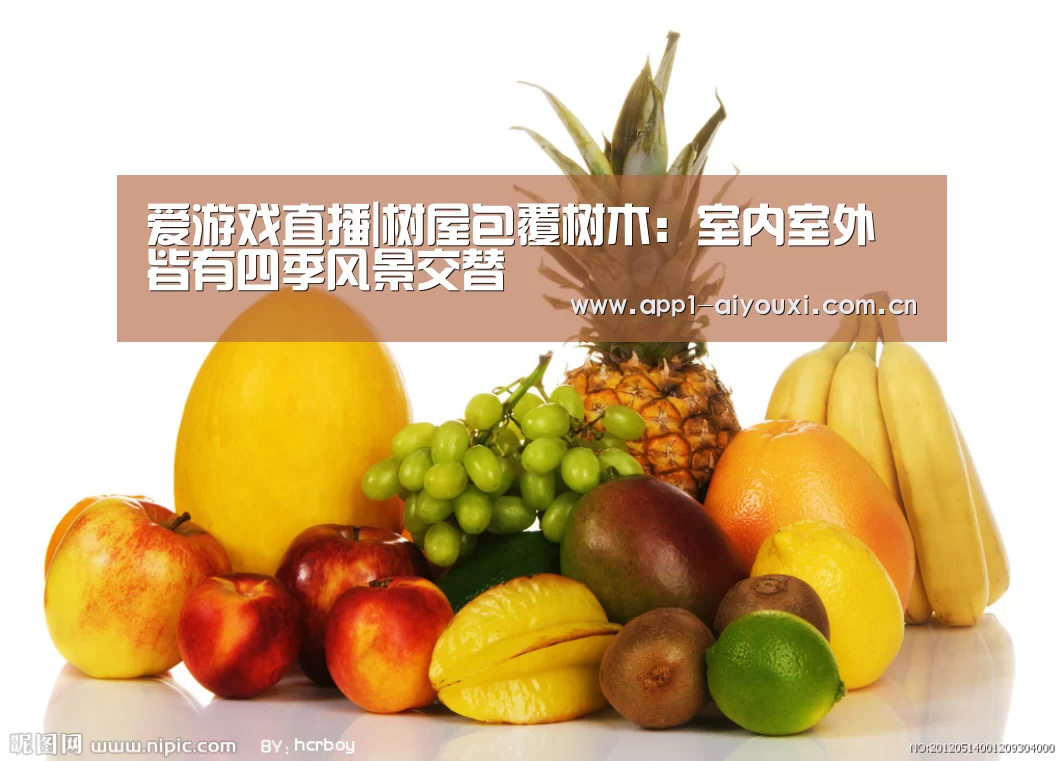 爱游戏体育