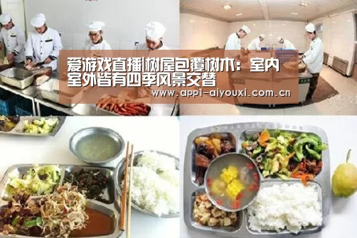 爱游戏直播