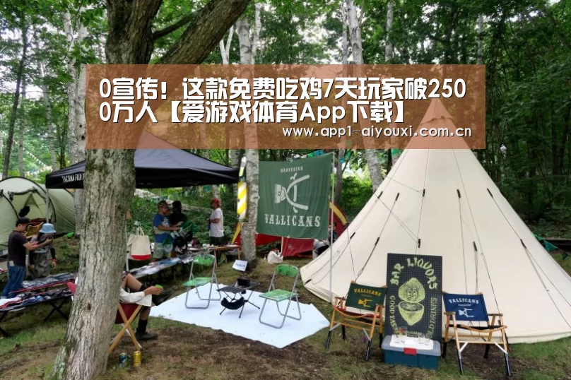 爱游戏体育